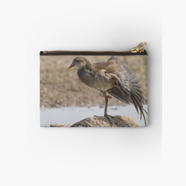 Item preview, Common Moorhen designed and sold by LaurenTucker.