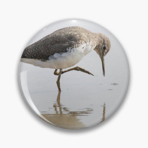 Item preview, Green Sandpiper designed and sold by LaurenTucker.