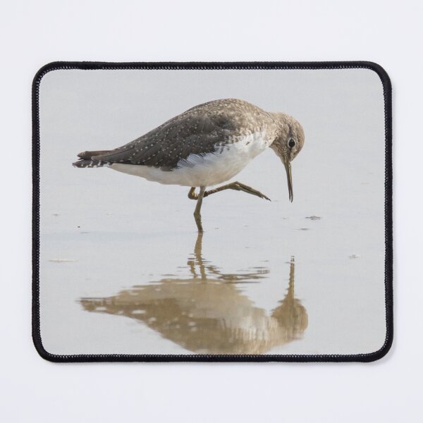 Item preview, Green Sandpiper designed and sold by LaurenTucker.