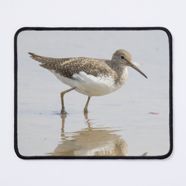 Item preview, Green Sandpiper designed and sold by LaurenTucker.