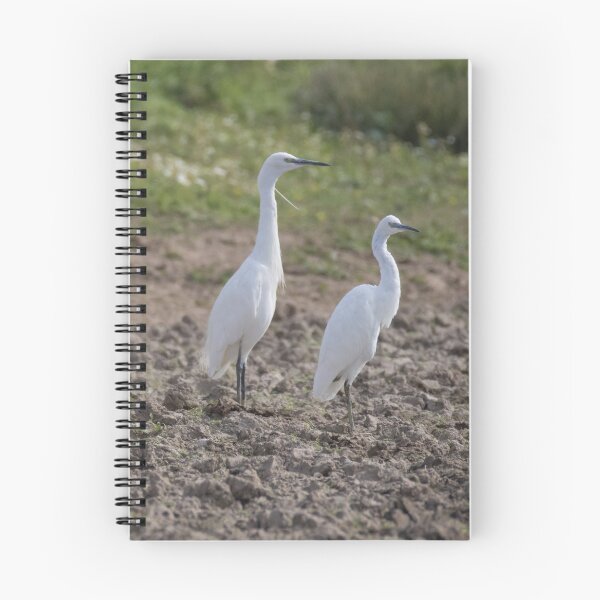 Item preview, Little Egret designed and sold by LaurenTucker.