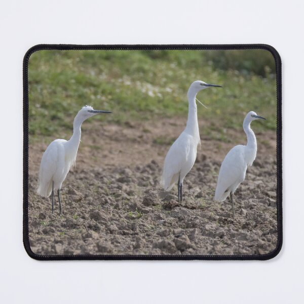 Item preview, Little Egret designed and sold by LaurenTucker.