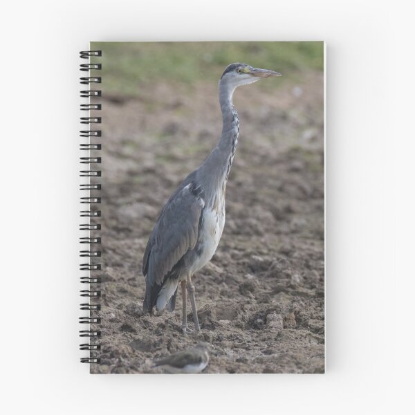Item preview, Grey Heron designed and sold by LaurenTucker.
