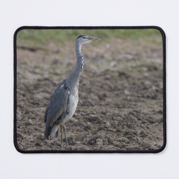 Item preview, Grey Heron designed and sold by LaurenTucker.