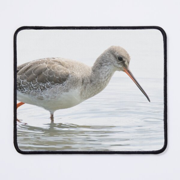 Item preview, Spotted Redshank designed and sold by LaurenTucker.
