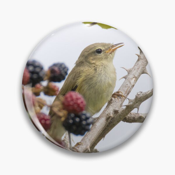 Item preview, Common Chiffchaff designed and sold by LaurenTucker.