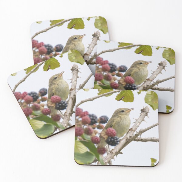 Item preview, Common Chiffchaff designed and sold by LaurenTucker.