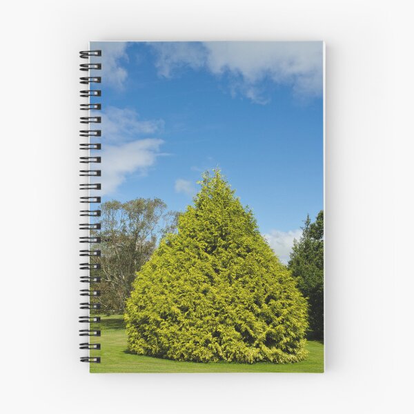 Item preview, Tree in Blarney Castle, Ireland designed and sold by Jarno Taskula Photography.