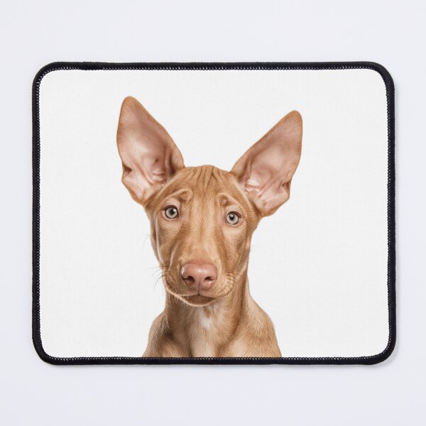 Item preview, Adorable Baby Pharaoh Hound for Cute Pharaoh Hound puppy lovers designed and sold by LazyOwlStore.