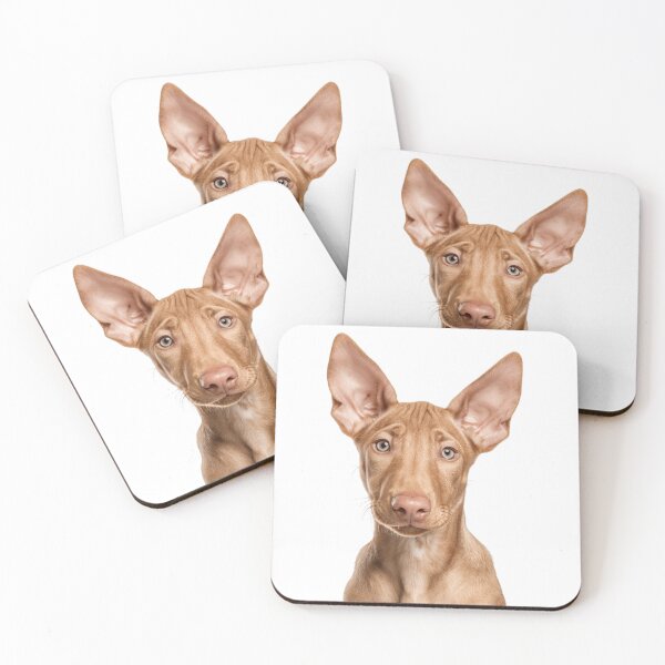 Item preview, Adorable Baby Pharaoh Hound for Cute Pharaoh Hound puppy lovers designed and sold by LazyOwlStore.