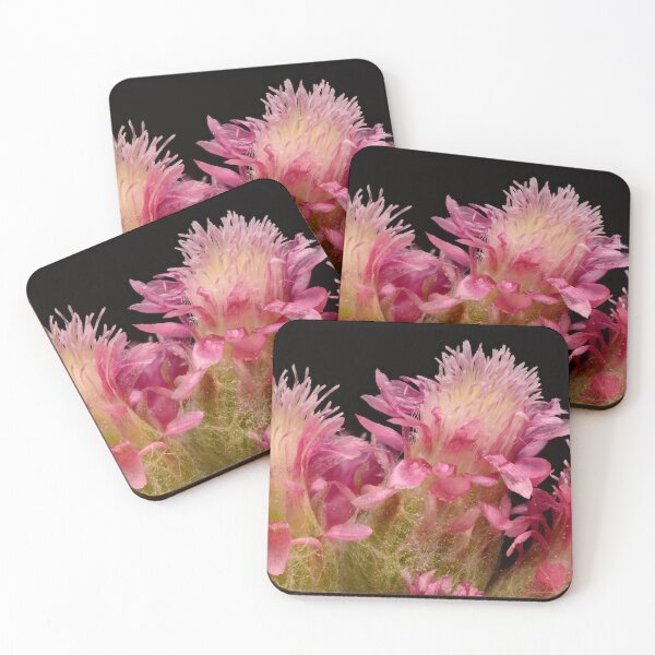 Item preview, Macro of Pink Mountain Everlasting Flowers on Black Background designed and sold by Goiko7Margarita.