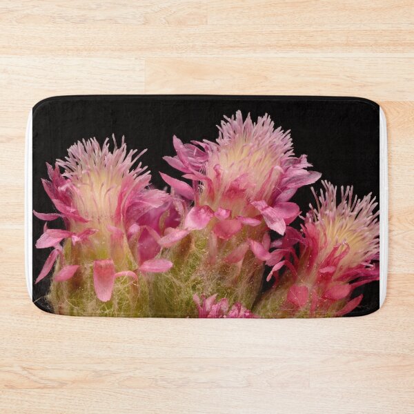 Item preview, Macro of Pink Mountain Everlasting Flowers on Black Background designed and sold by Goiko7Margarita.