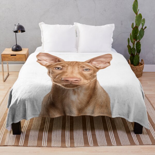 Item preview, Adorable Baby Pharaoh Hound for Cute Pharaoh Hound puppy lovers designed and sold by LazyOwlStore.