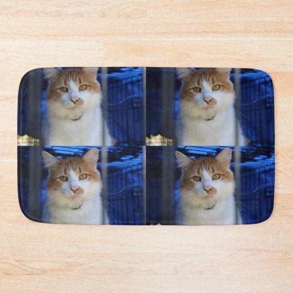 Item preview, Cat pictures 2 designed and sold by McFleur's Lens.