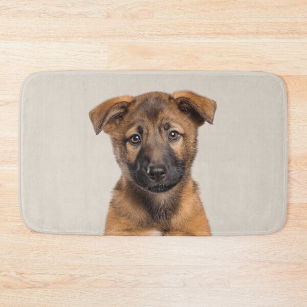 Item preview, Adorable Baby Chinook for Cute Chinook puppy lovers designed and sold by LazyOwlStore.