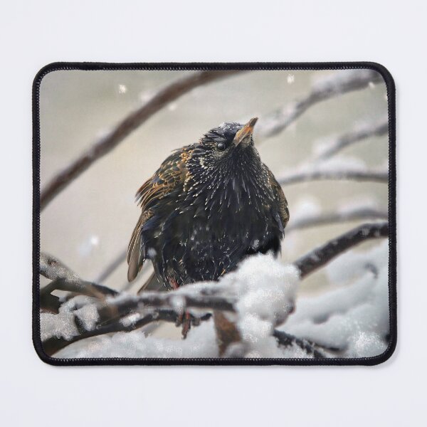 Item preview, It's Cold Out Here designed and sold by Lois Bryan.