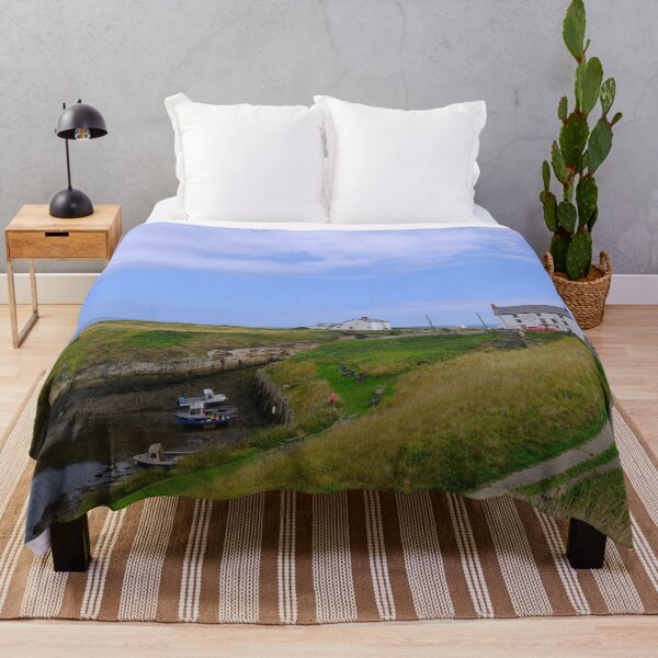 Item preview, Seaton Sluice Harbour in Northumberland designed and sold by Violaman.