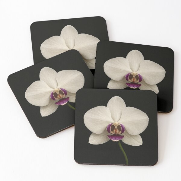 Item preview, Orchid on black background designed and sold by Crisverona.