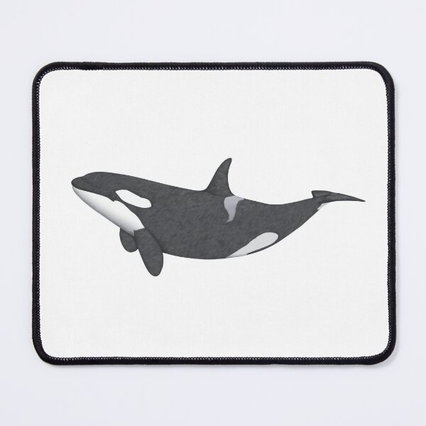 Item preview, Orca Killer Whale Pencil Illustration designed and sold by Lauren Fitton Illustration.