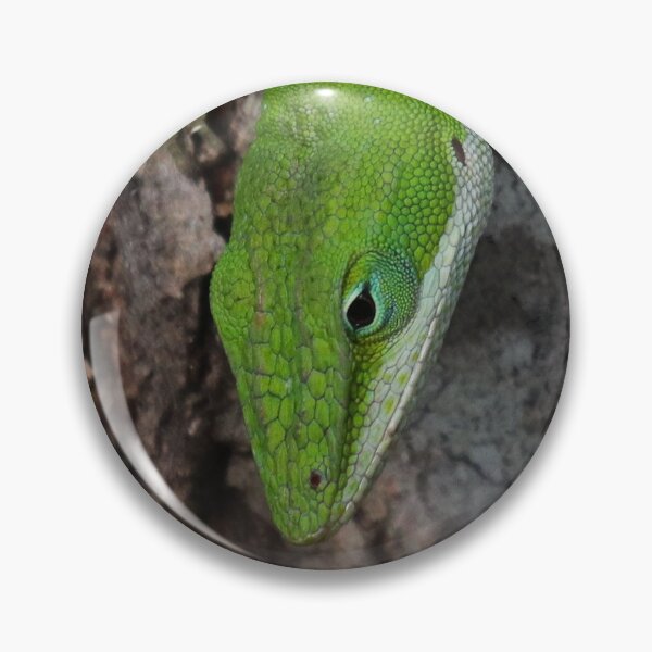 Item preview, Anole designed and sold by Parks and X.
