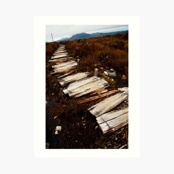 Waterfall Valley to Lake Windermere, Overland Track, Tasmania Art Print