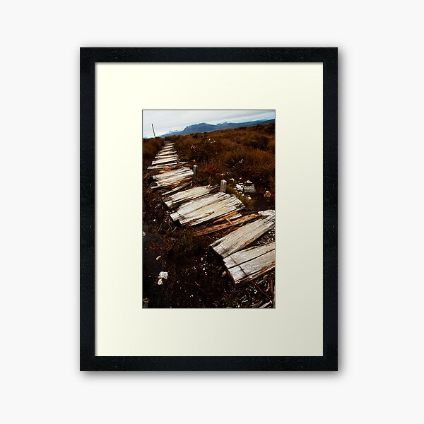 Waterfall Valley to Lake Windermere, Overland Track, Tasmania Framed Art Print