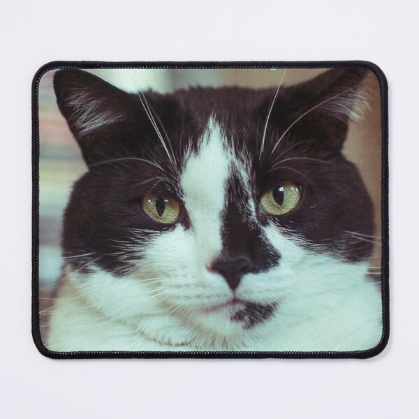 Item preview, Tuxedo Cat designed and sold by Kandoart.