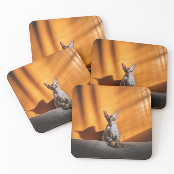 Item preview, Pensive Cornish Rex Cat in Minimalist Night Panorama designed and sold by mrpropcake.