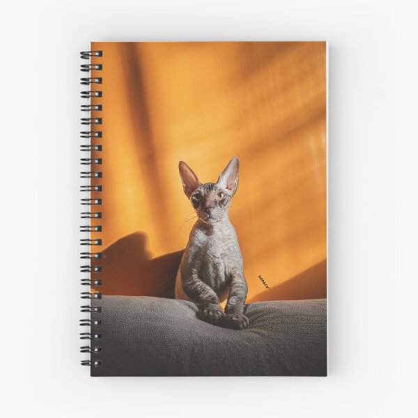 Item preview, Pensive Cornish Rex Cat in Minimalist Night Panorama designed and sold by mrpropcake.