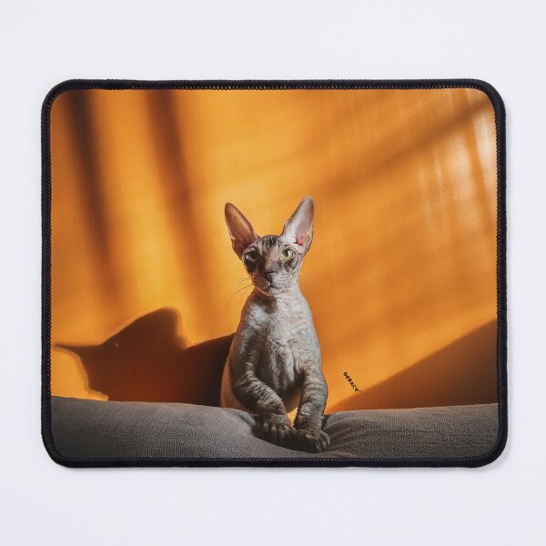Item preview, Pensive Cornish Rex Cat in Minimalist Night Panorama designed and sold by mrpropcake.