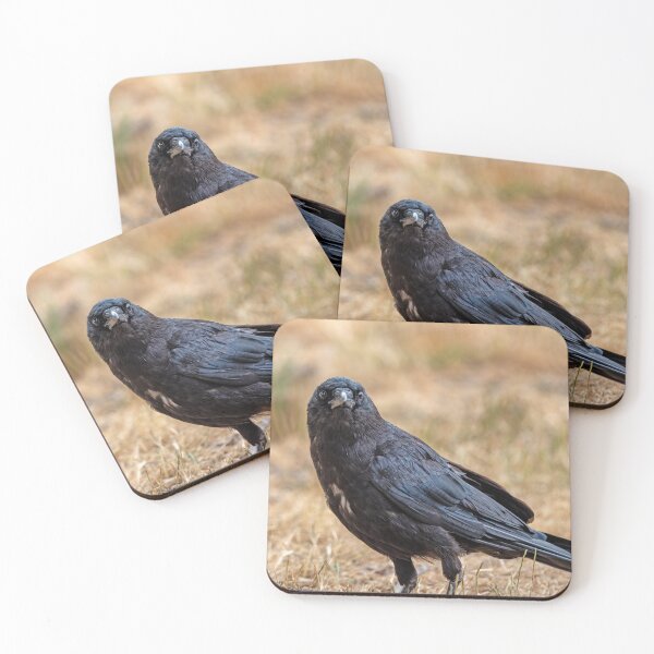 Item preview, American Crow with an intense gaze designed and sold by lisavonbiela.