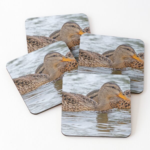 Item preview, Pair of female Mallards swimming with crossed necks designed and sold by lisavonbiela.