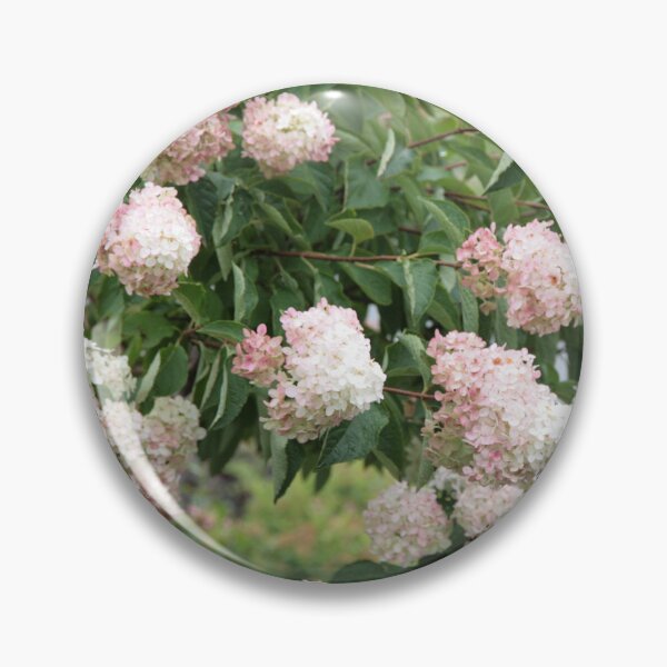 Item preview, August Flowers designed and sold by David Sokol.