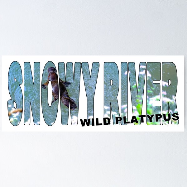 Item preview, SNOWY RIVER Wild Platypus - Viewing Buchan Gippsland Victoria designed and sold by Adam Gormley.