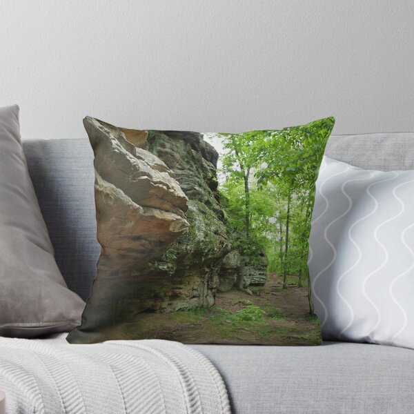 Item preview, Devil's Standtable Nature Trail #1 designed and sold by Daniel Owens.