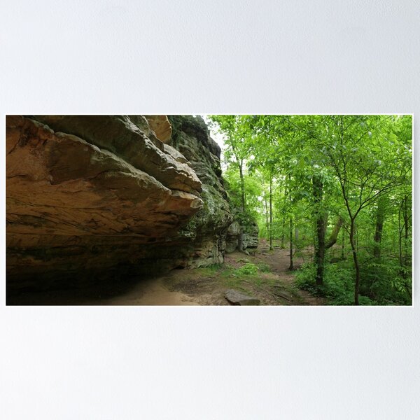 Item preview, Devil's Standtable Nature Trail #1 designed and sold by Daniel Owens.