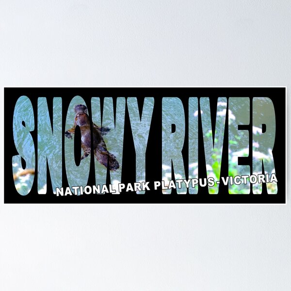 Item preview, SNOWY RIVER National Park Platypus Victoria - Buchan East Gippsland designed and sold by Adam Gormley.
