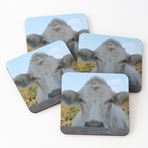 Item preview, Cow photo designed and sold by Anna Ryburn.