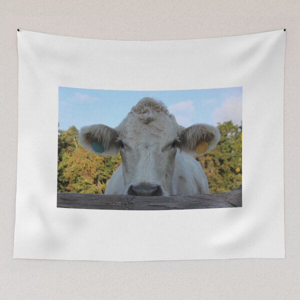 Item preview, Cow photo designed and sold by Anna Ryburn.