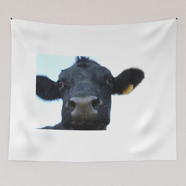 Item preview, Cow photo designed and sold by Anna Ryburn.