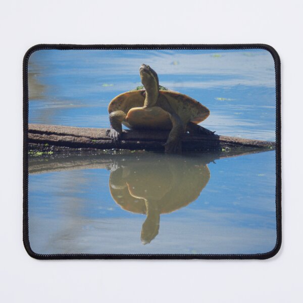 Item preview, Turtle Push Ups designed and sold by D-GaP.