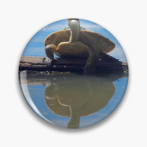 Item preview, Turtle Push Ups designed and sold by D-GaP.