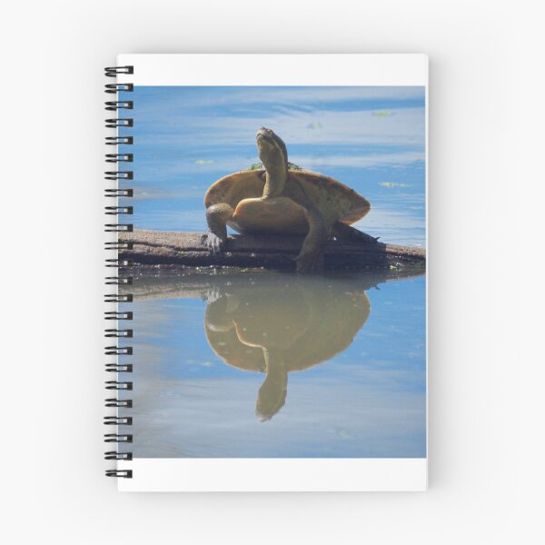 Item preview, Turtle Push Ups designed and sold by D-GaP.