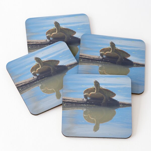 Item preview, Turtle Push Ups designed and sold by D-GaP.
