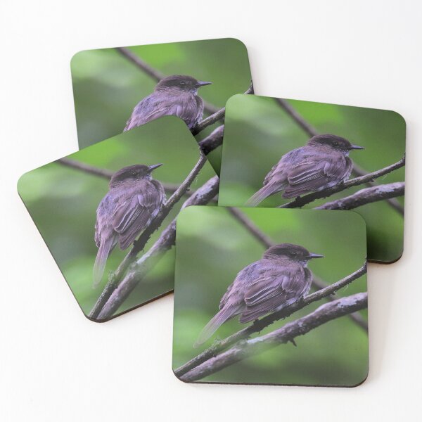 Item preview, Eastern phoebe  designed and sold by Parks and X.