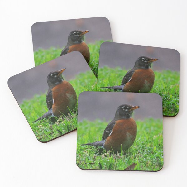 Item preview, Robin designed and sold by Parks and X.