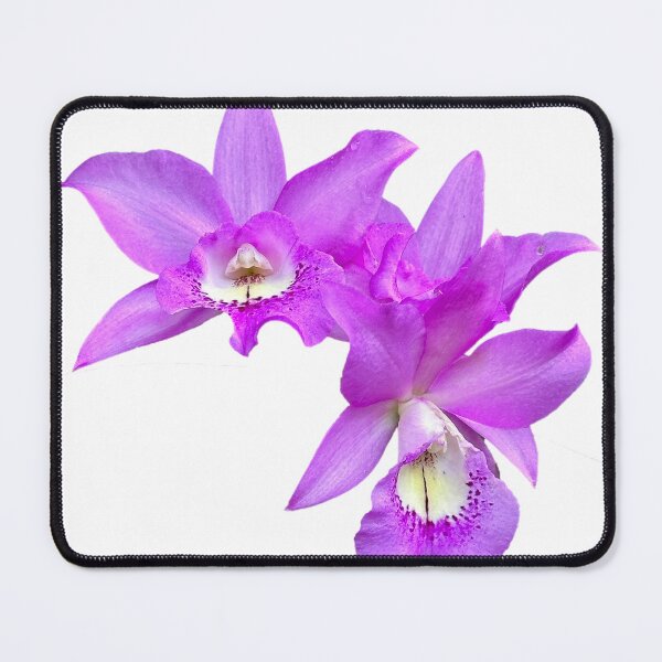 Item preview, Elegant Tropical Orchid designed and sold by PorRayong.