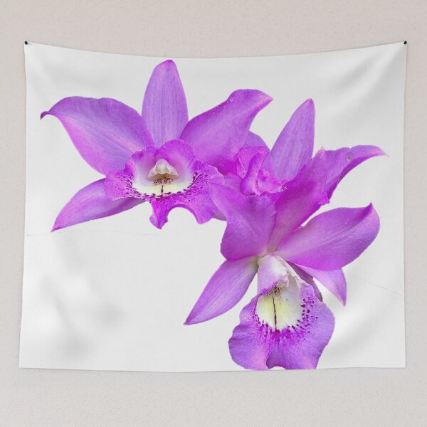 Item preview, Elegant Tropical Orchid designed and sold by PorRayong.
