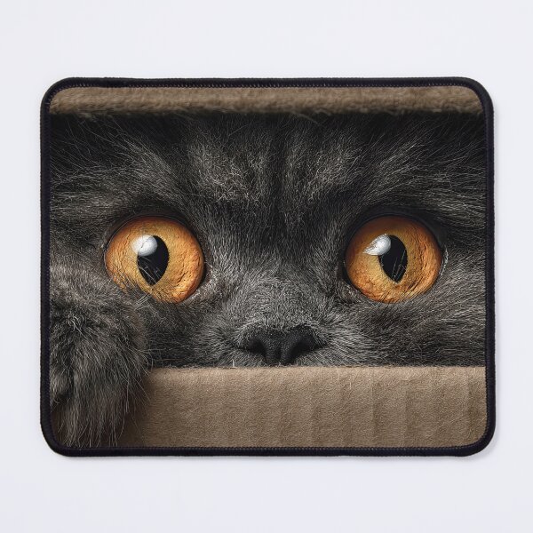 Item preview, Gray Persian Cat in Box 01 designed and sold by Elisabeth Lucas.