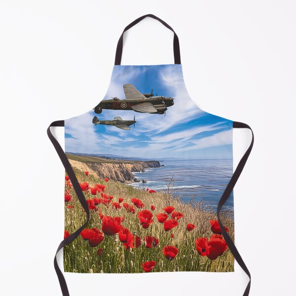Item preview, Battle of Britain Memorial Flight designed and sold by Skyframe Aviation.